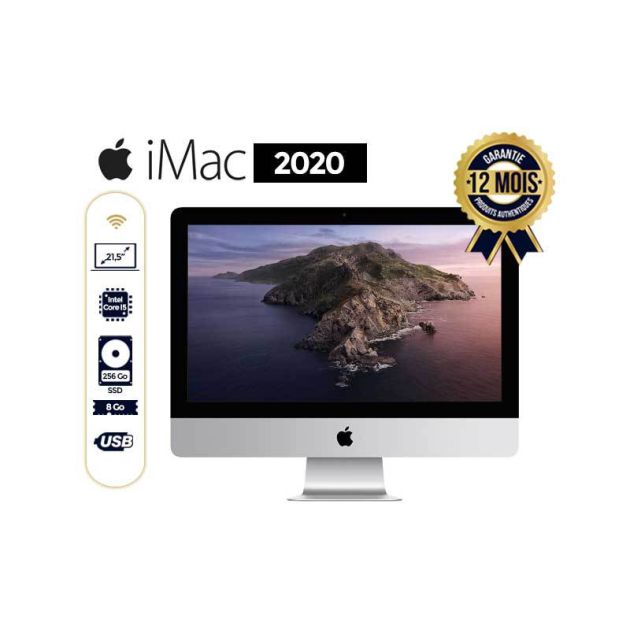 Apple iMac - 21.5" - Intel Core i5-7360U - 2.3 GHz/3.6 GHz - 256Go/8Go Ram - 12 mois de garantie - livraison 3 à 5 Jours
