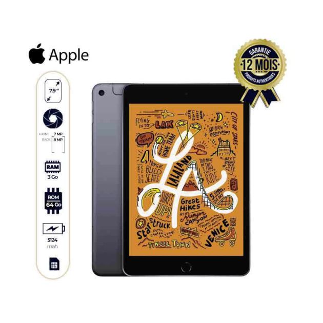 Apple iPad mini 5 - 7.9" - 64Go/3Go Ram - 8MP/7MP - 1 Nano sim - 5124 mAh - garantie de 12 mois